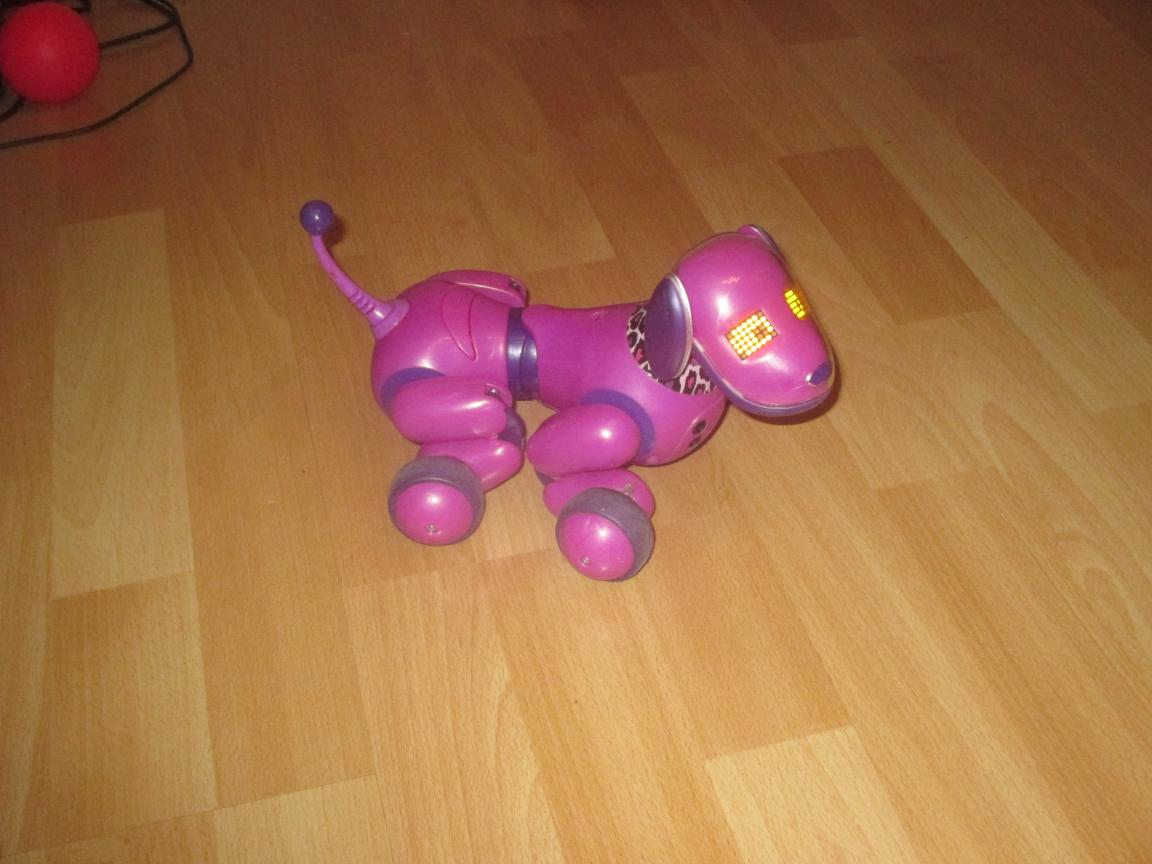 Das ist die Schwester von meinem Purple Zoomer