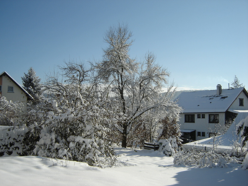 Schnee im Garten