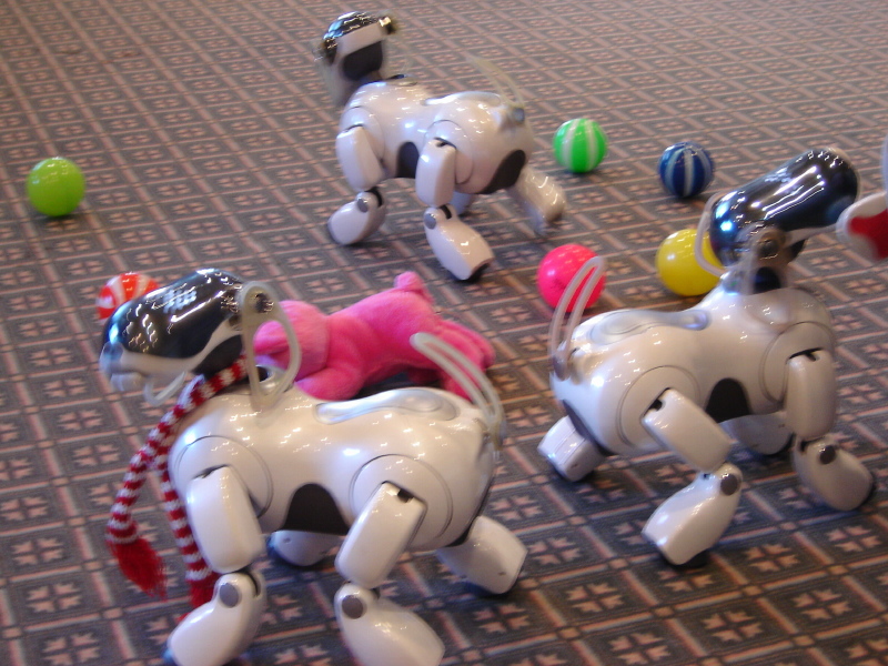 7er Aibo-Treffen