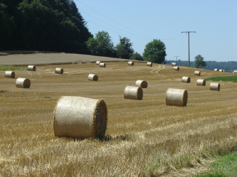 Sommer im Sden