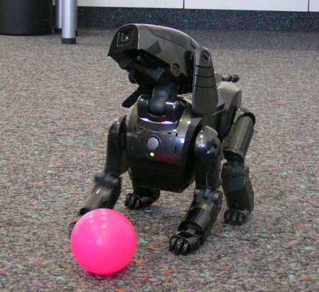 Aibo 111 in Schwarz